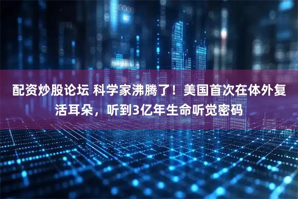 配资炒股论坛 科学家沸腾了！美国首次在体外复活耳朵，听到3亿年生命听觉密码